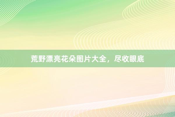 荒野漂亮花朵图片大全，尽收眼底